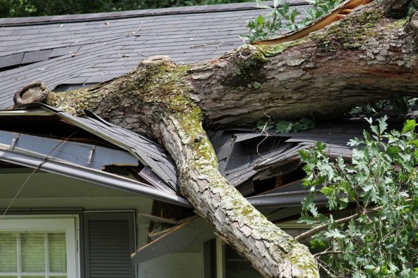 Storm Remediation in Orange Park