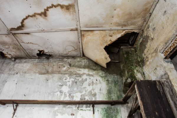 Water Damage Service in Orange Park