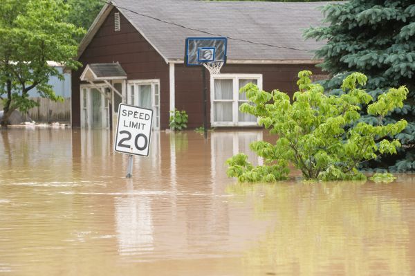 Storm Restoration Service in Orange Park