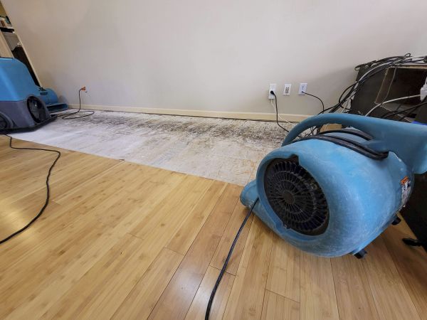 Water Damage Mitigation in Orange Park