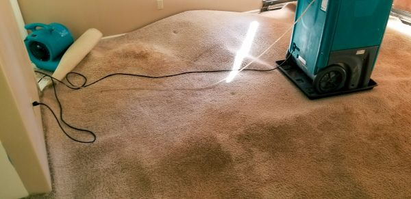 Flood Damage Cleanup in Orange Park