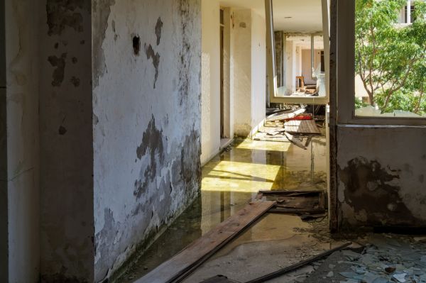 Water Removal Service in Orange Park