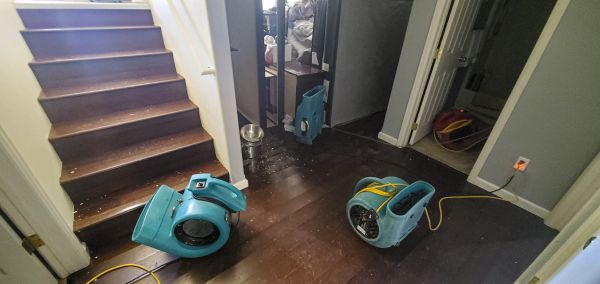 Water Damage Remediation in Orange Park