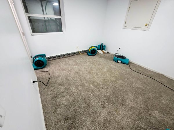 Flood Restoration Service in Orange Park