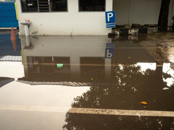 Storm Damage Repair in Orange Park