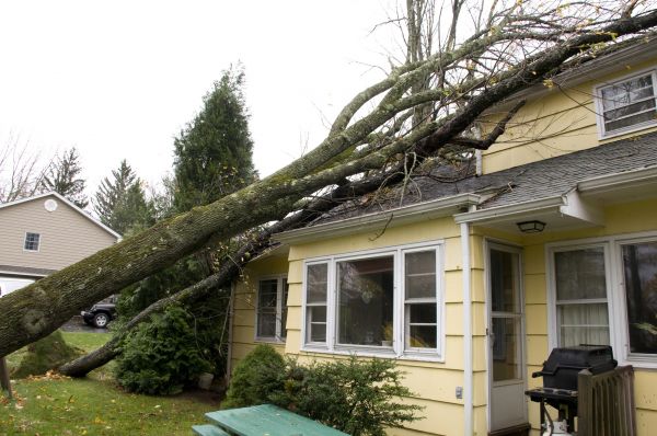 Hurricane Damage Repair in Orange Park