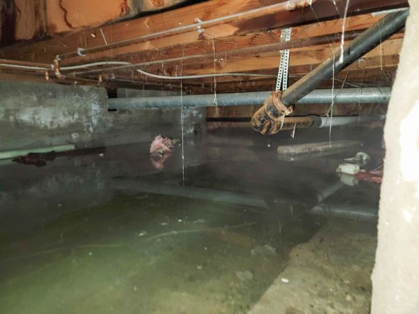 Crawlspace Water Restoration in Orange Park